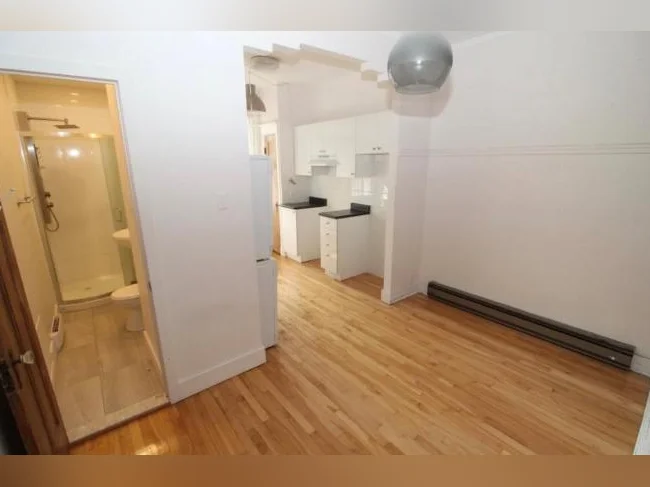 Bel appartement Rosemont thumbnail 4