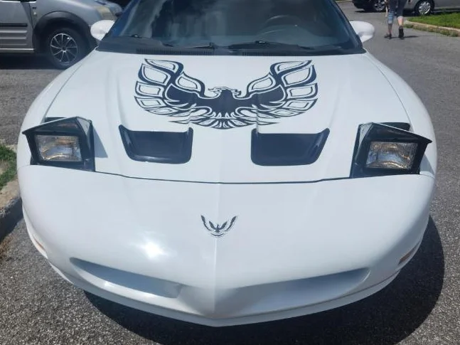 Pontiac Firebird 1995 3.4 L 6 cilyndres thumbnail 7