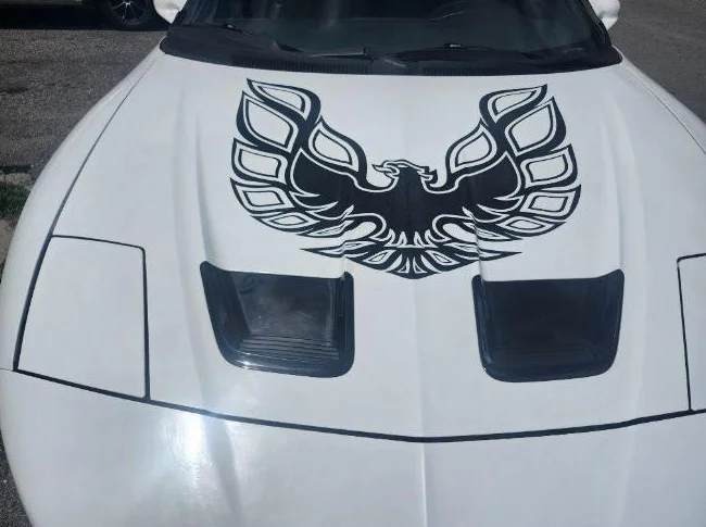 Pontiac Firebird 1995 3.4 L 6 cilyndres thumbnail 8