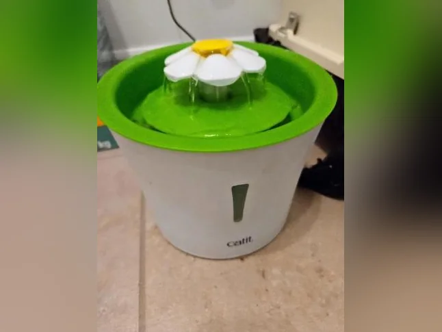 abrevoir pour chat