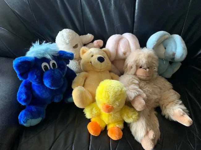 Toutou à vendre