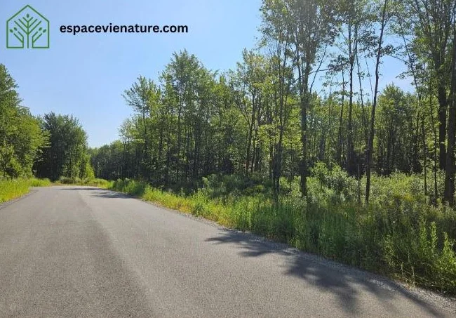 Terrains à vendre en Beauce - St-Benjamin