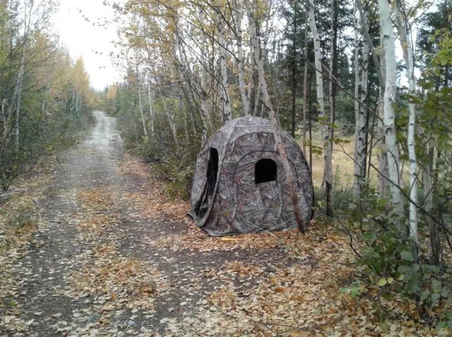 Camp de chasse et pêche exceptionnel thumbnail 6