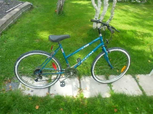 Bike 10 speed CCM