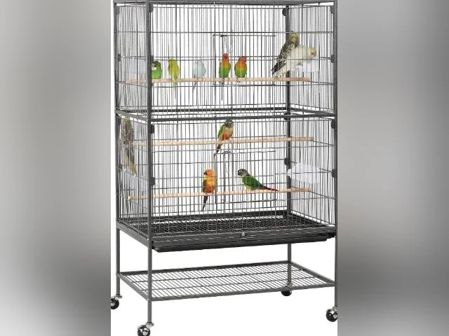 Grande Volière pour différents type d'oiseaux