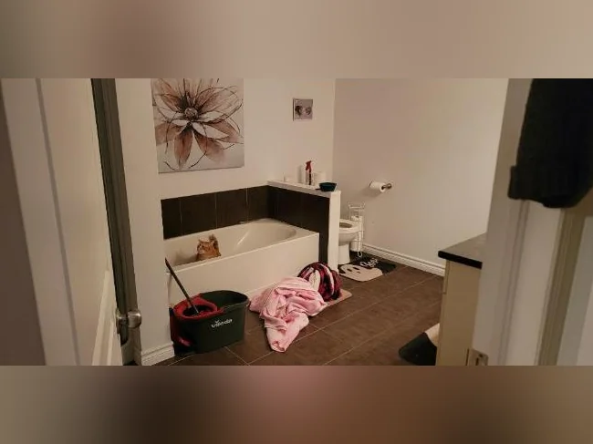 Appartement 4 1/2 thumbnail 2