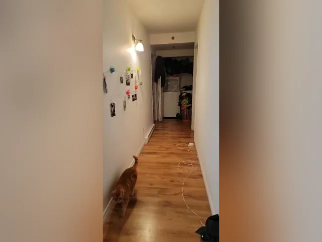 Appartement 4 1/2 thumbnail 7