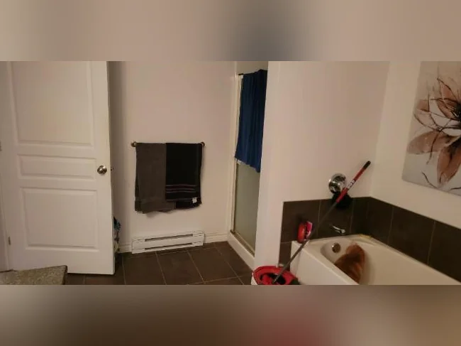 Appartement 4 1/2 thumbnail 3