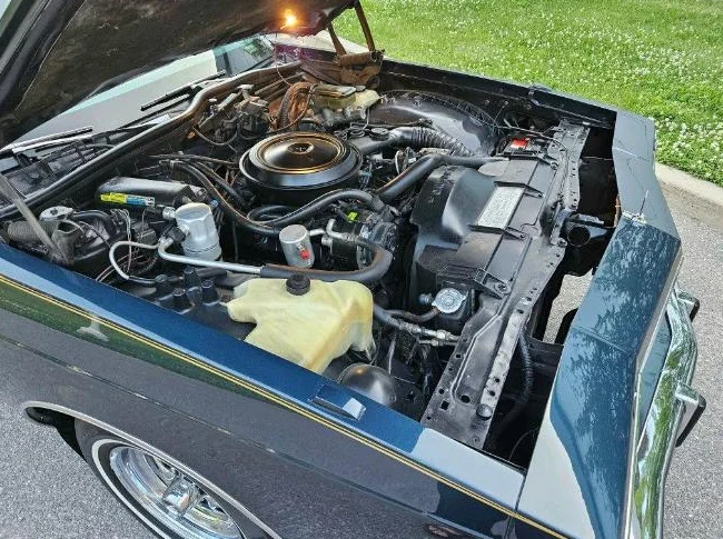 Oldsmobile Delta 88 1985 thumbnail 5