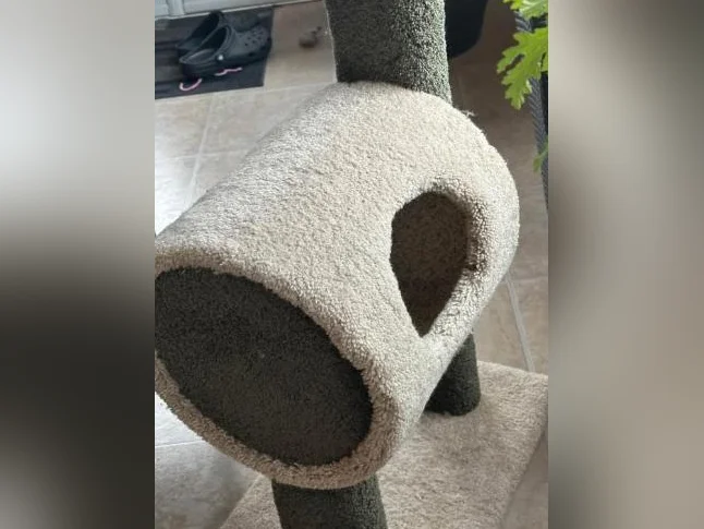 Le paradis de votre chat excellent état thumbnail 3