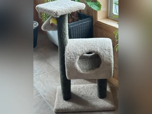 Le paradis de votre chat excellent état