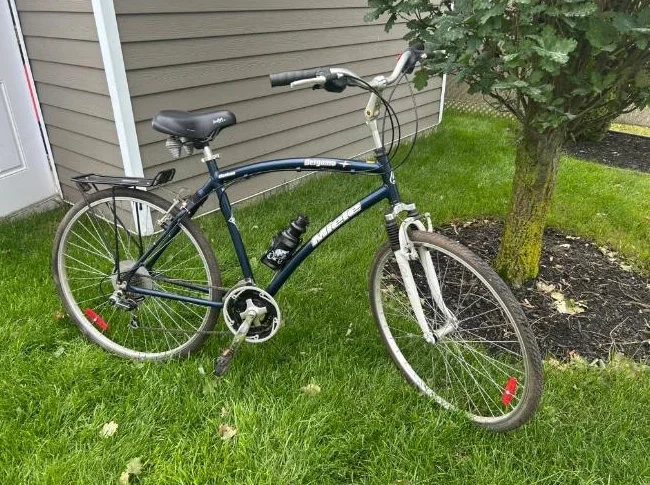 Vélo Miele thumbnail 4