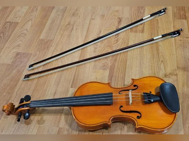 VIOLON 3/4 Eastman à vendre thumbnail 2