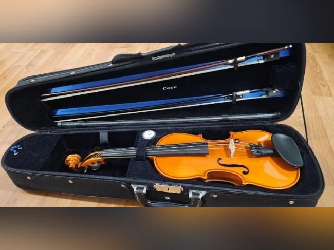 VIOLON 3/4 Eastman à vendre