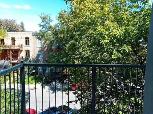 Plateau Mont Royal Appartement 4½ à louer 3 chambres thumbnail 10