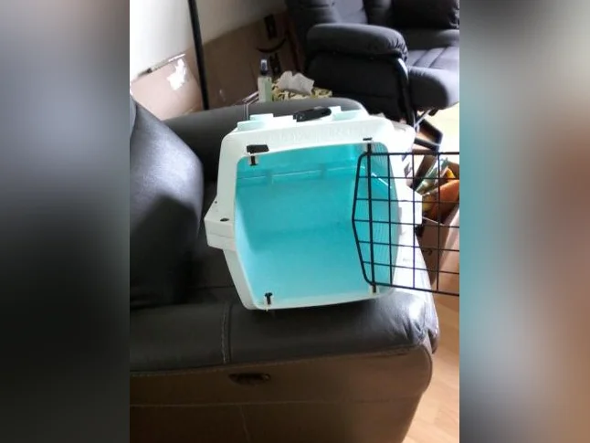 litiere pour chat ou petit chien